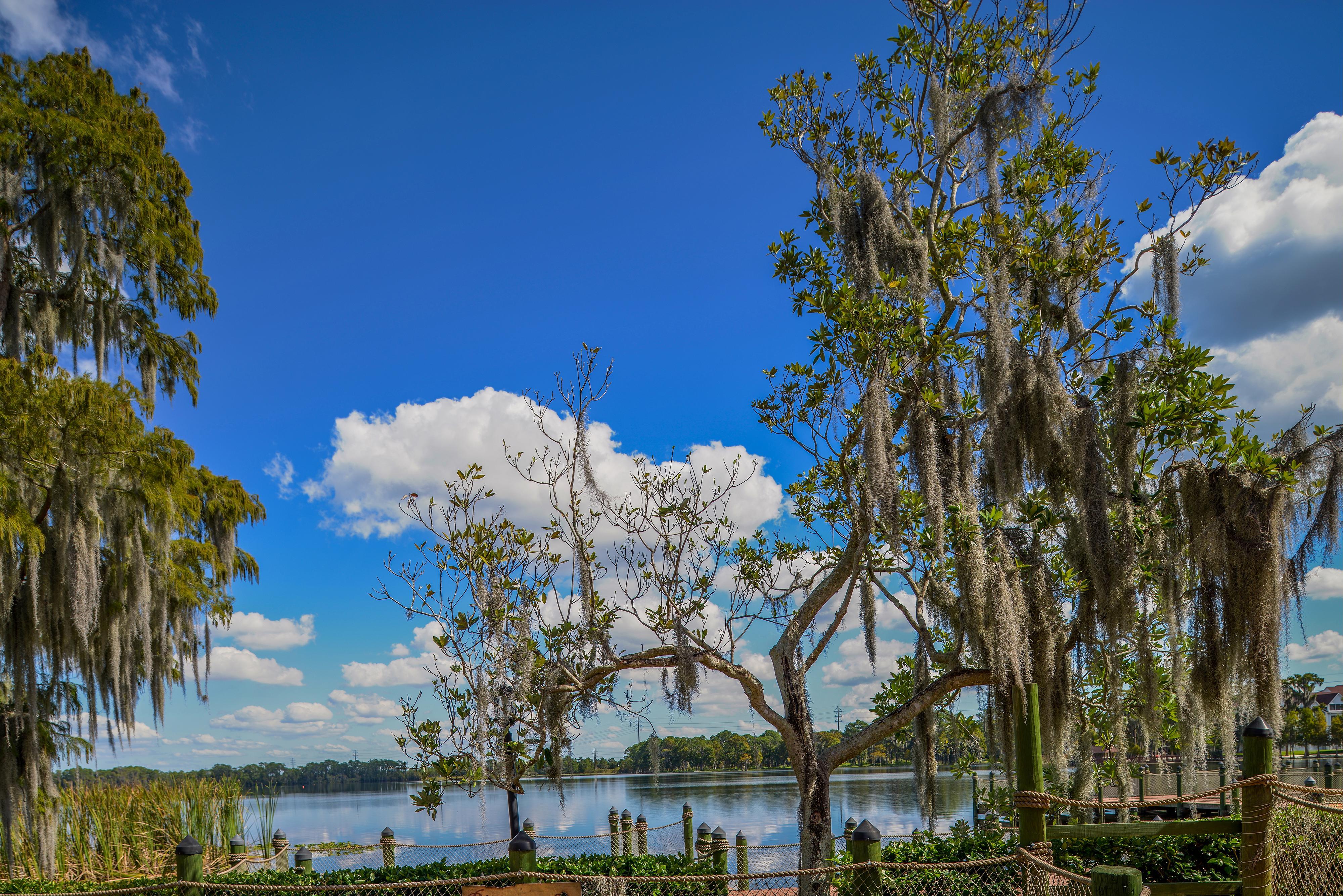 Bryan'S Spanish Cove Lake Buena Vista Eksteriør bilde